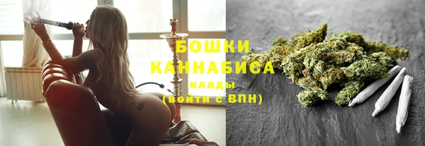 метадон Няндома
