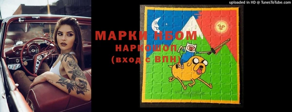 ГАЛЛЮЦИНОГЕННЫЕ ГРИБЫ Новозыбков