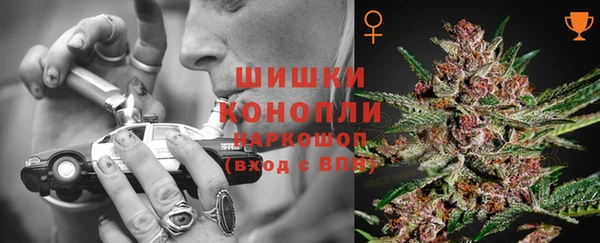 метадон Няндома