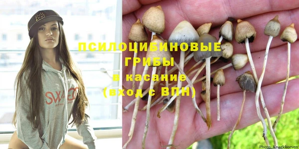 винт Ахтубинск