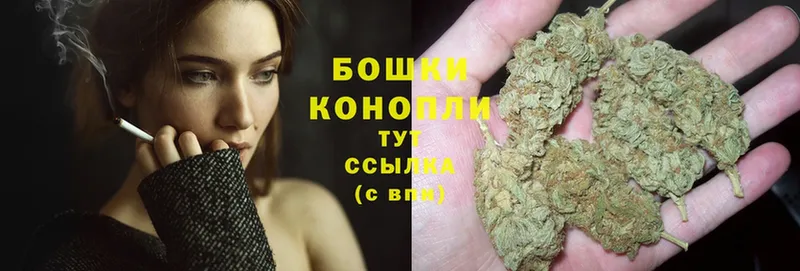 Каннабис White Widow  Правдинск 